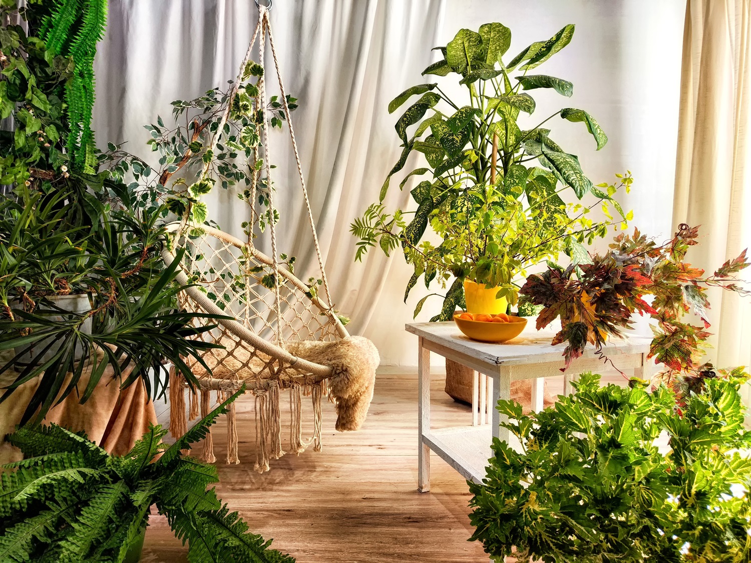 Room filled with numerous indoor plants, a white table, and a hanging chair draped with a cozy blanket