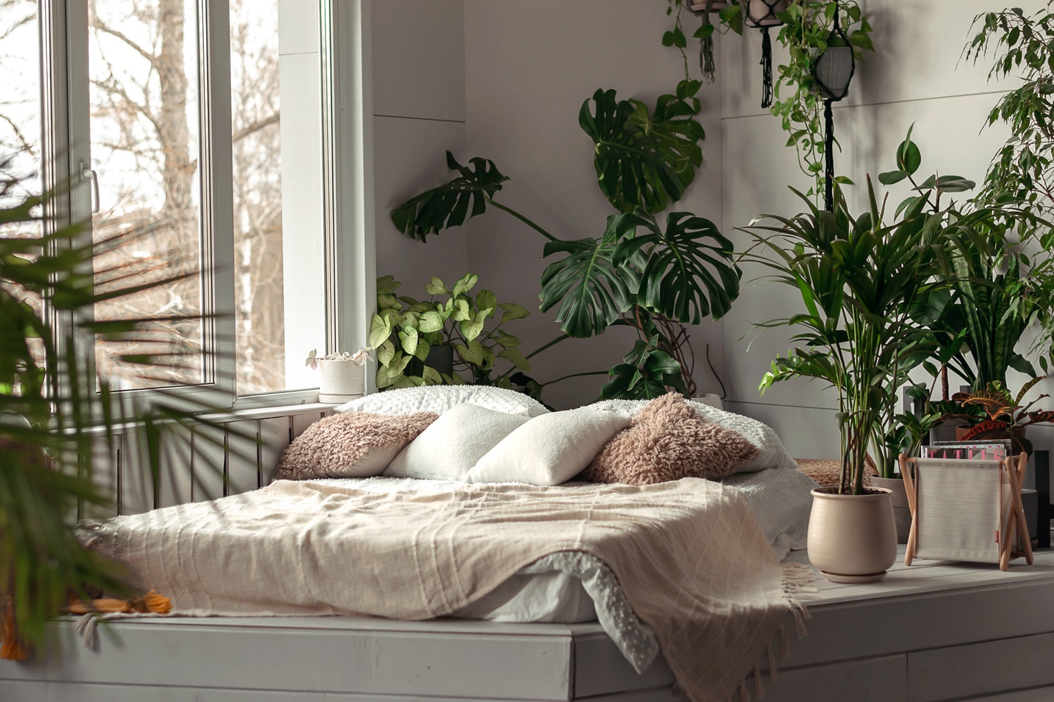 Cozy bed in a bright room filled with lush green plants and large windows