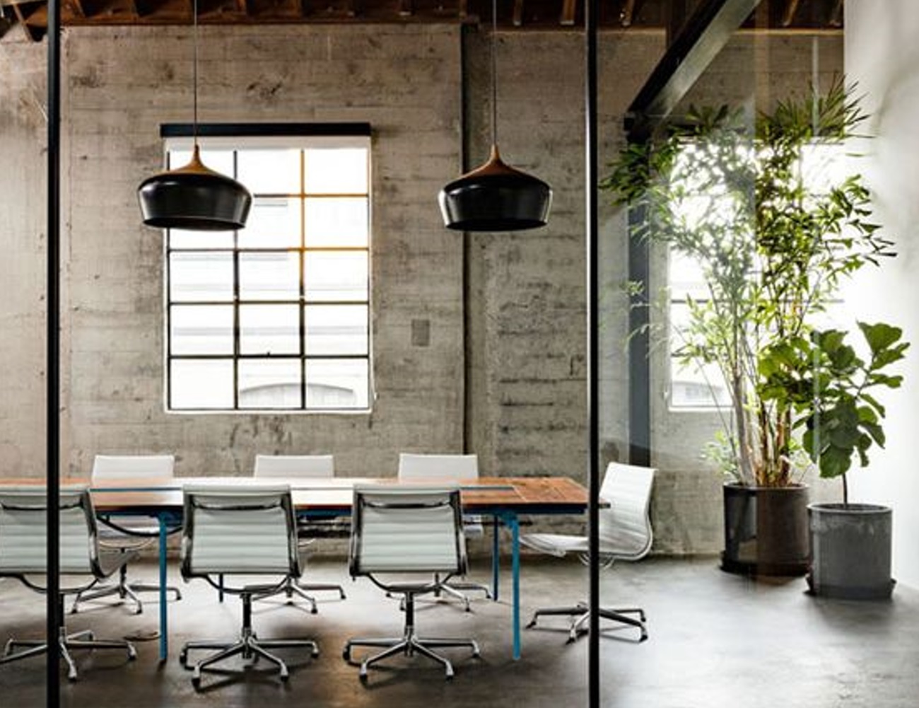 Modern conference room with white chairs, wooden table, large window, and plants