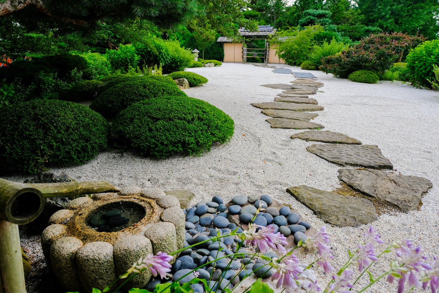 A serene Japanese garden with stone pathway, shrubs, and a small water basin