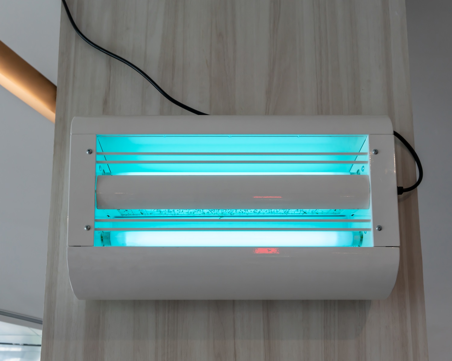 Wall-mounted electronic insect zapper with glowing blue light