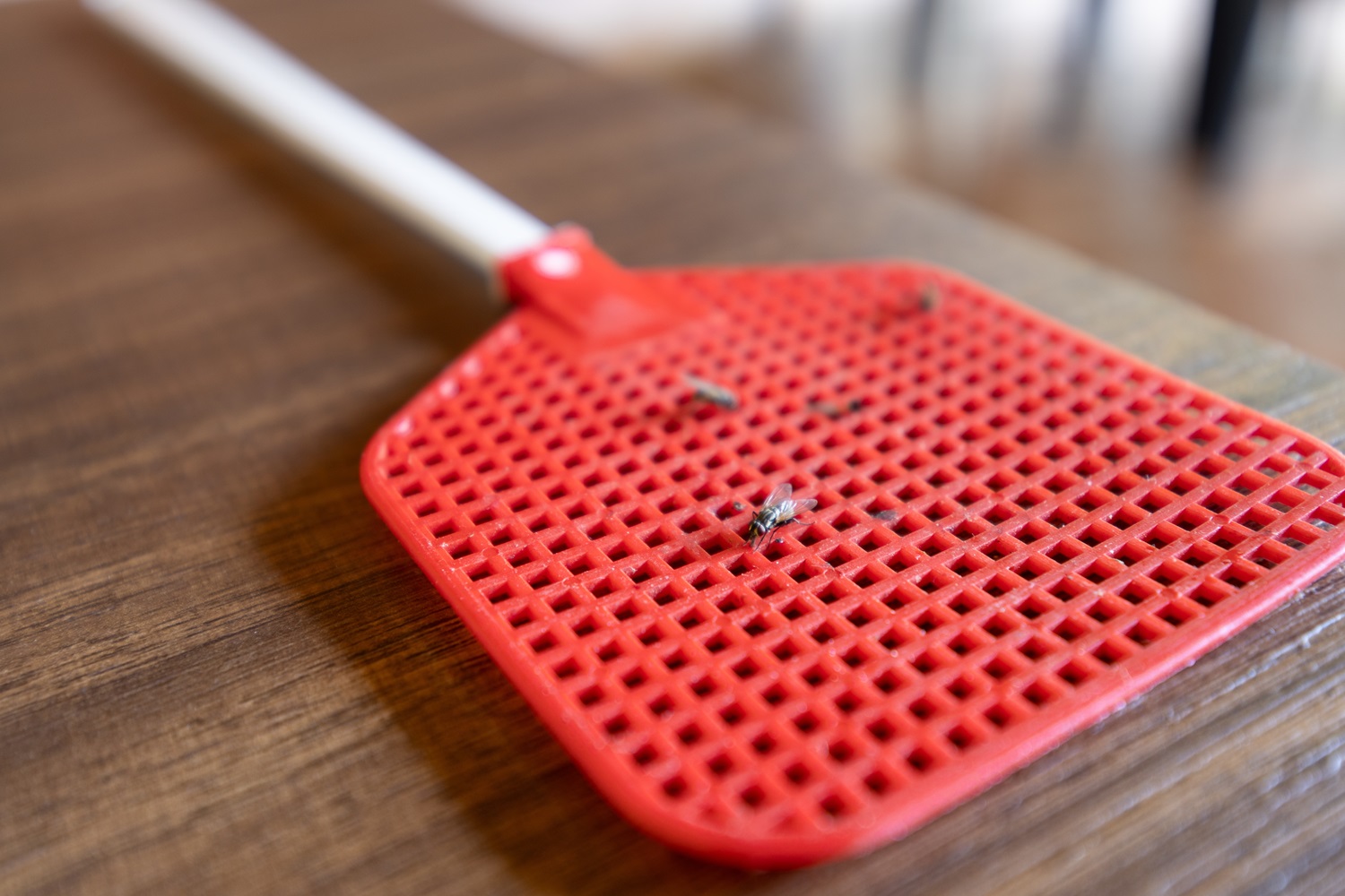 Red fly swatter on a wooden table with a dead fly