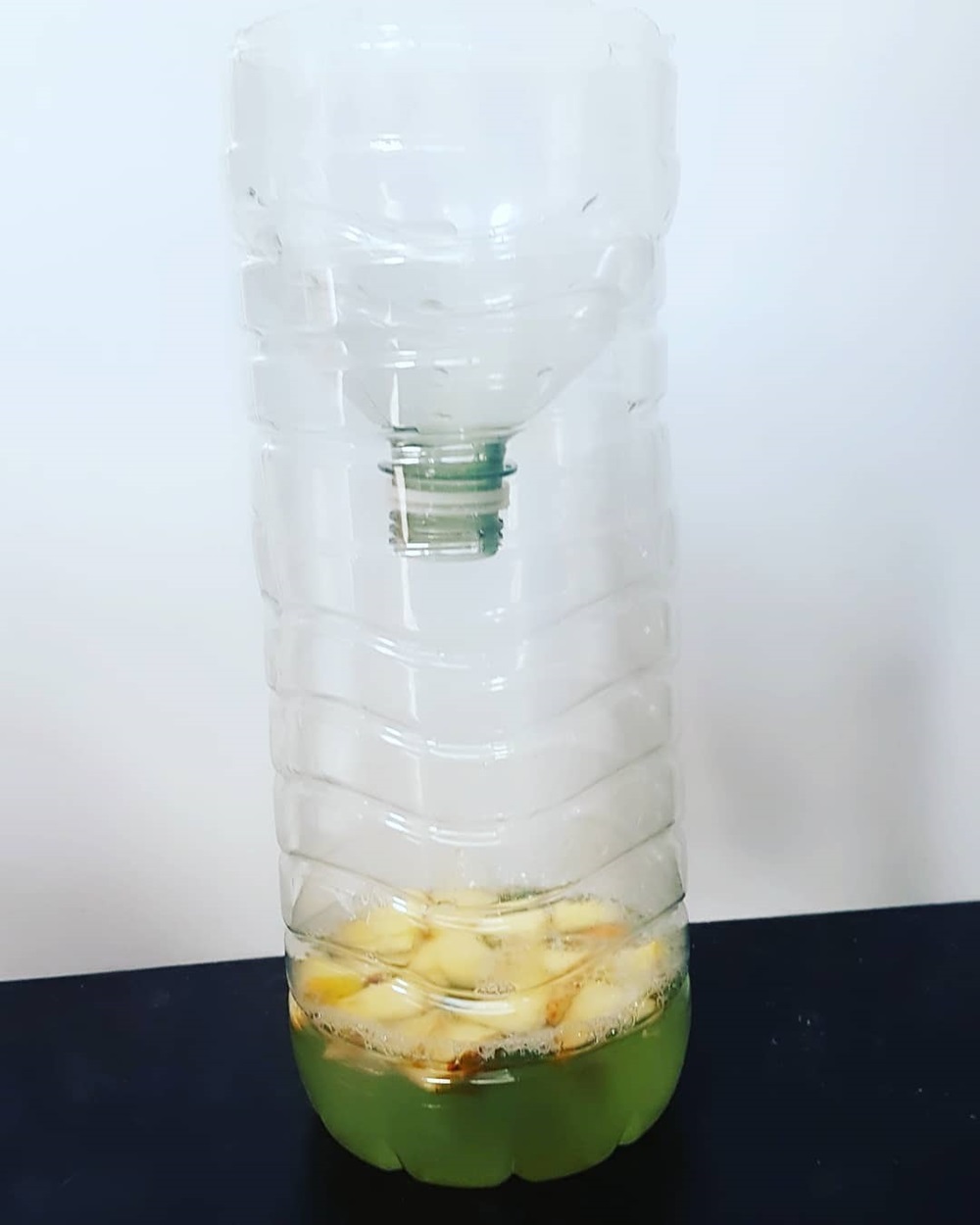 DIY fruit fly trap crafted from a plastic bottle, filled with liquid and fruit pieces