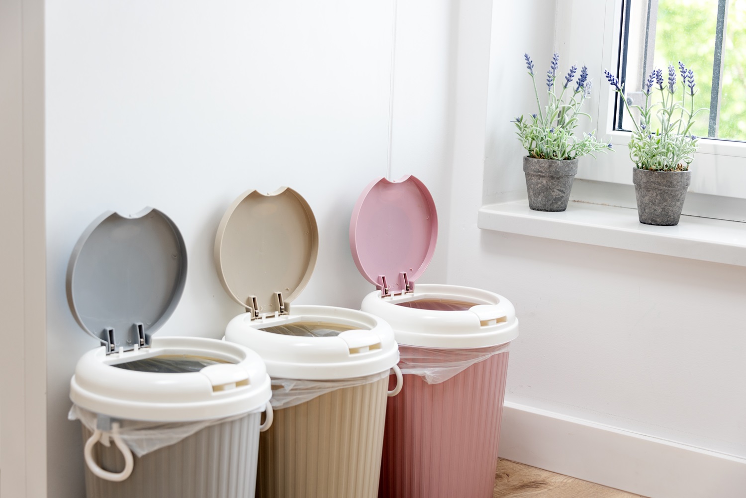 Three color-coded trash bins by a window with potted lavender plants