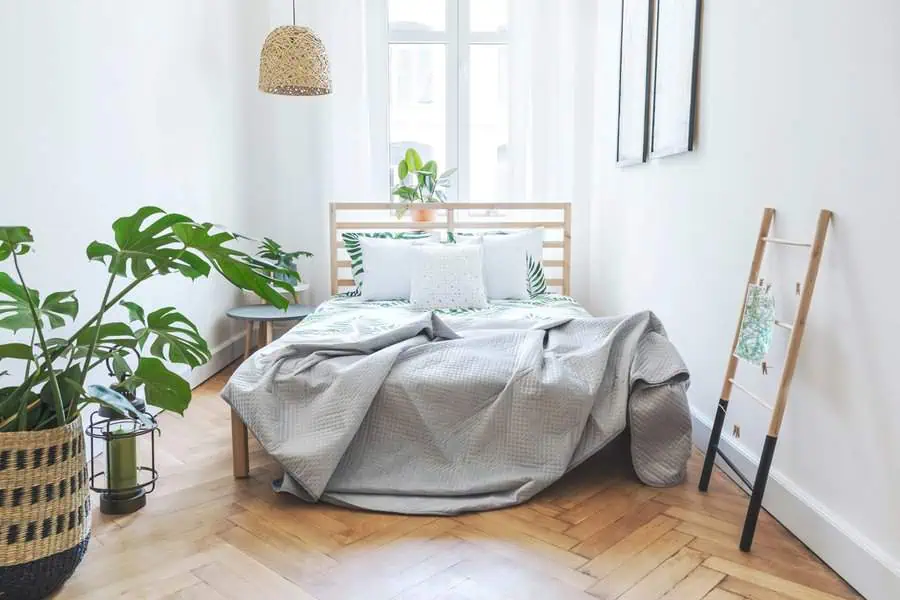 Cozy bedroom with a wooden bed, light gray bedding, indoor plants, and natural light from a large window.