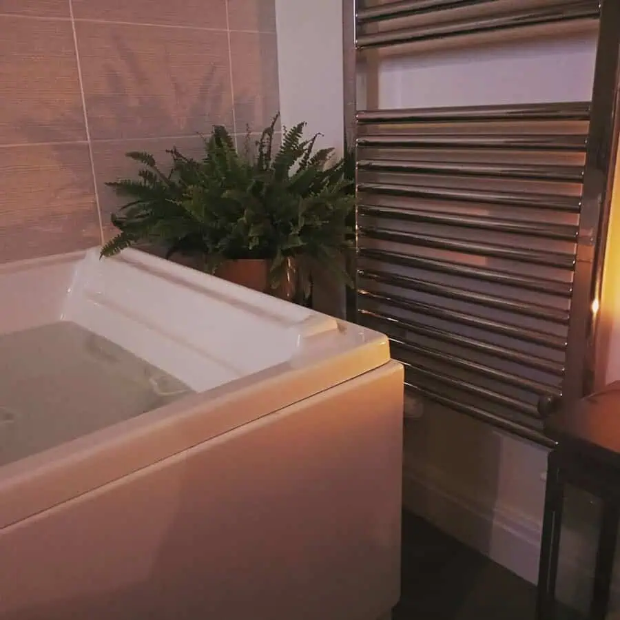 Cozy bathroom with a Boston fern beside the bathtub and a heated towel rack nearby.