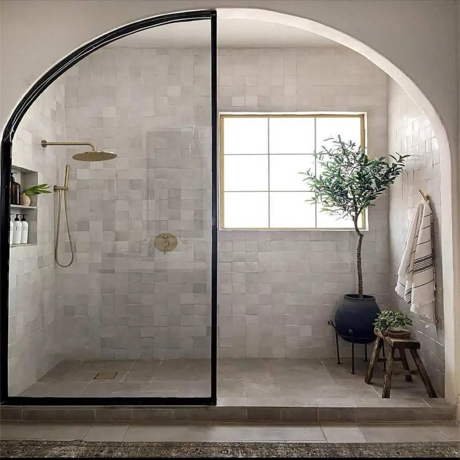 Modern shower room with arched glass door, potted plant, and minimalist decor.