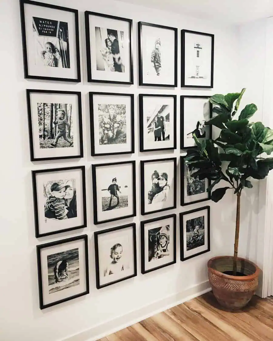 Black-and-white family photo gallery wall with black frames and a potted plant in corner.