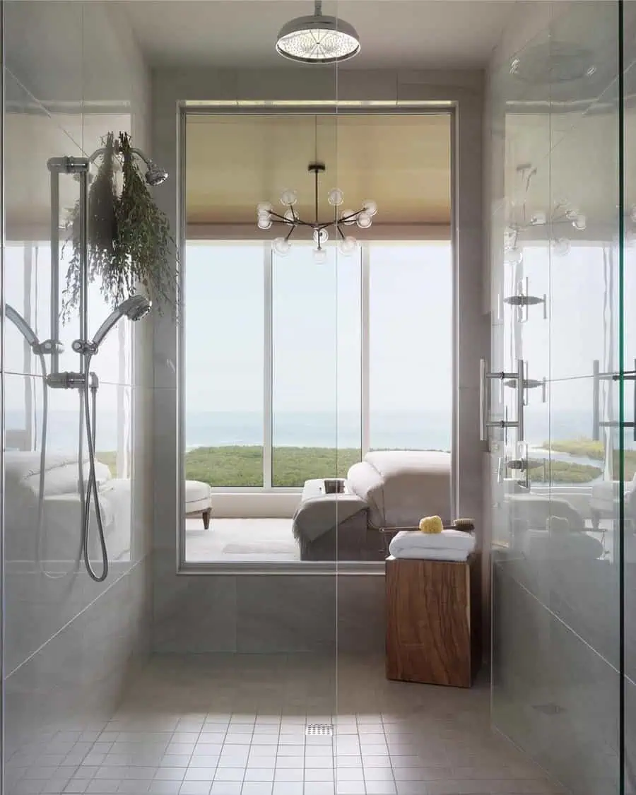 Modern walk-in shower with glass doors, dual showerheads, and scenic window view of living room.