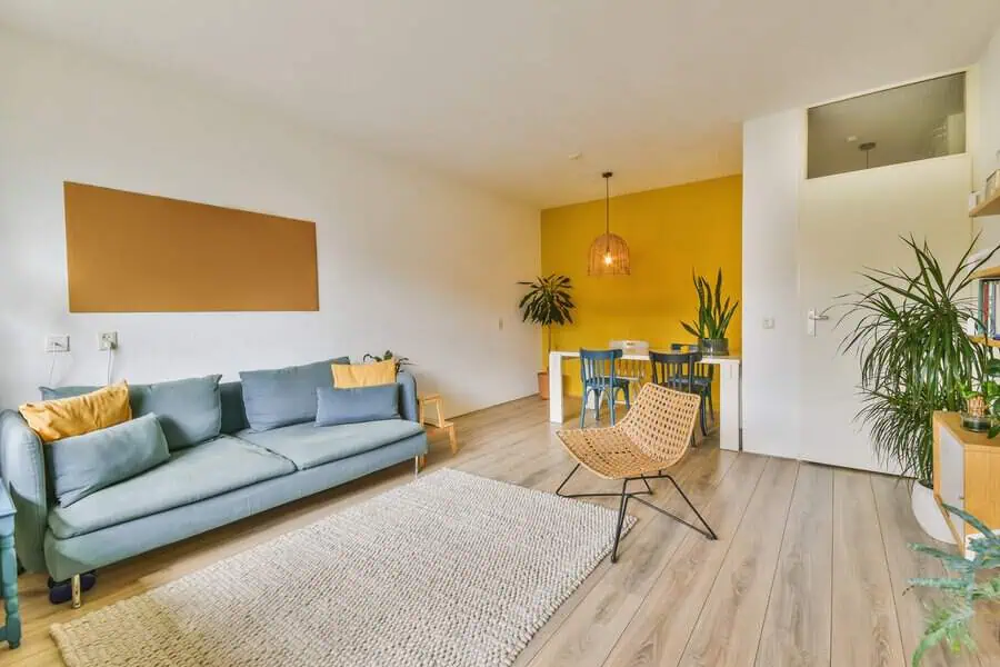 Bright living room with blue sofa, yellow accent wall, dining area, and indoor plants.