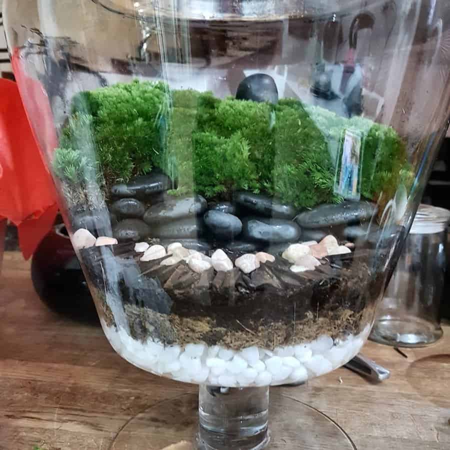 Close-up of a glass terrarium featuring lush green moss, black stones, and layered soil.