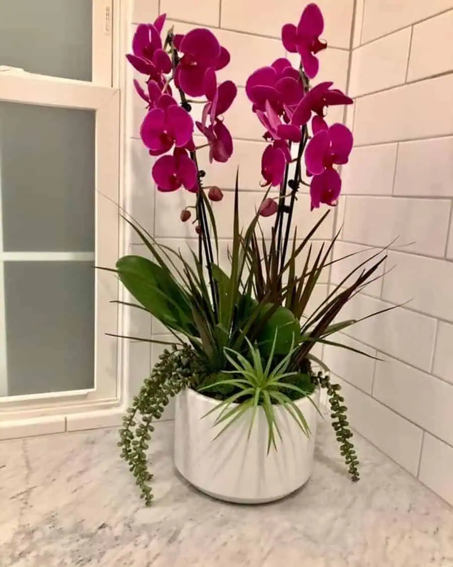 Purple orchid arrangement in a white pot with green and brown foliage on a marble countertop.