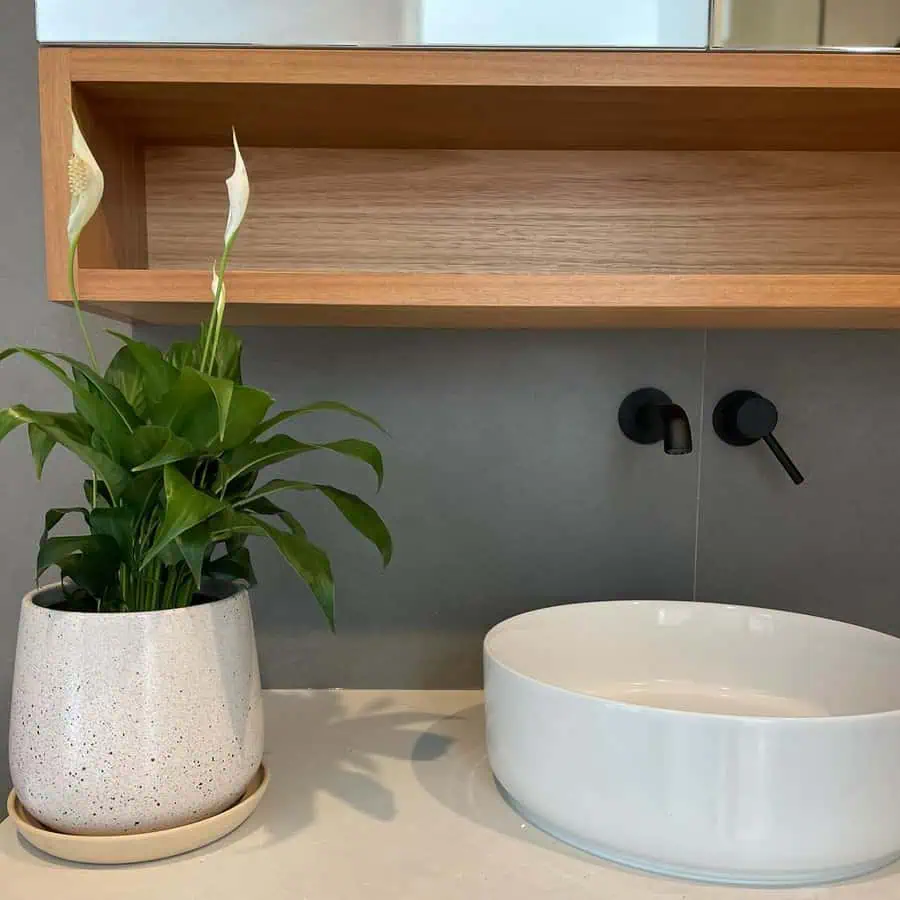 Minimalist bathroom with a peace lily plant beside a white vessel sink and black matte fixtures.