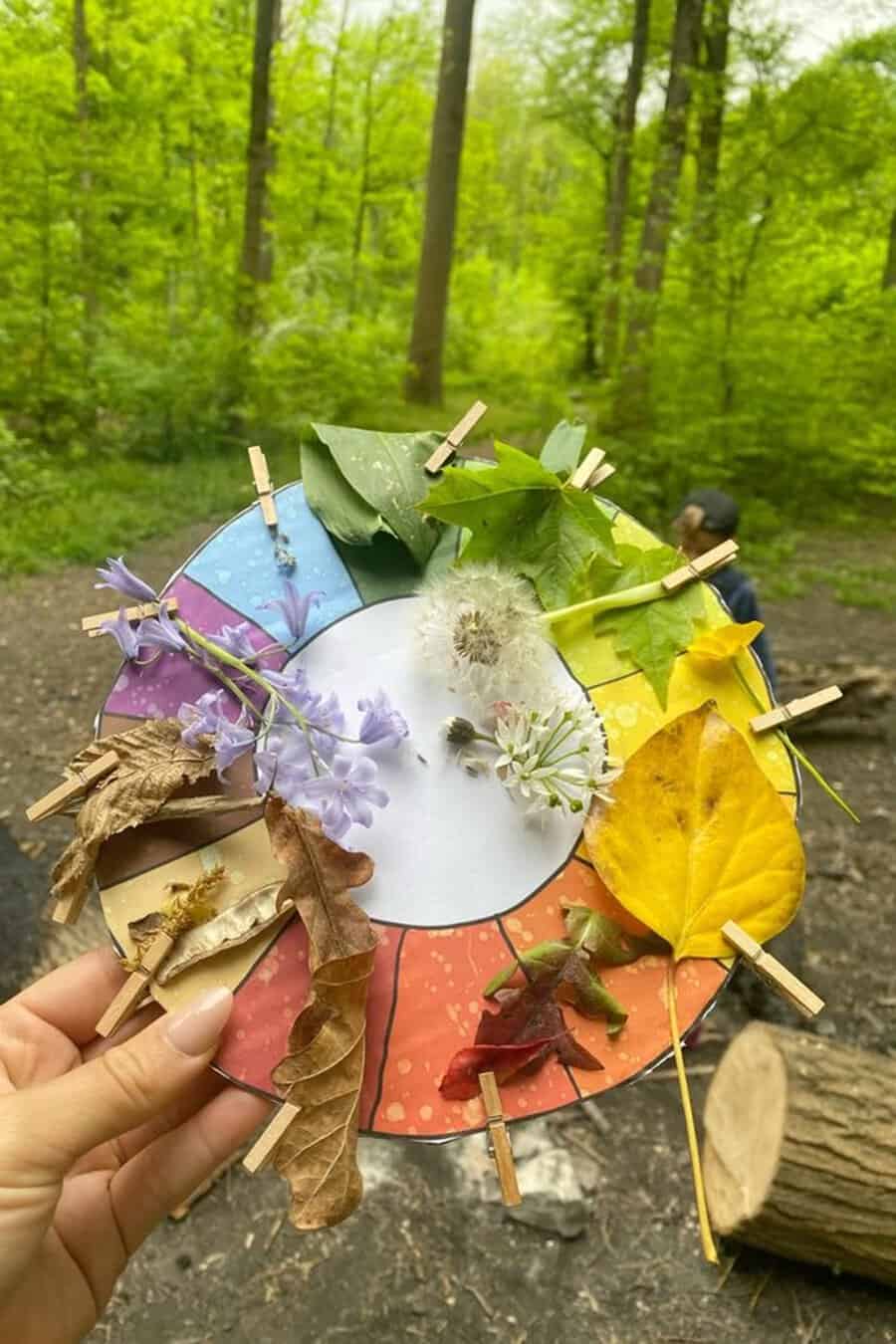 Nature hunt birthday party activity with a color wheel of leaves and flowers in a forest.