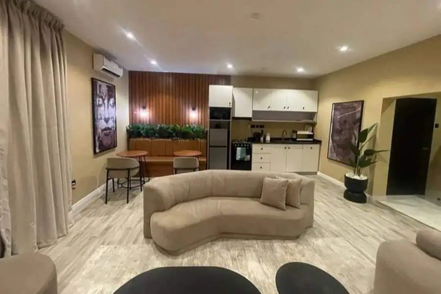 Spacious open living room in a studio apartment featuring a modern curved sofa, minimalist decor, and integrated kitchen design.