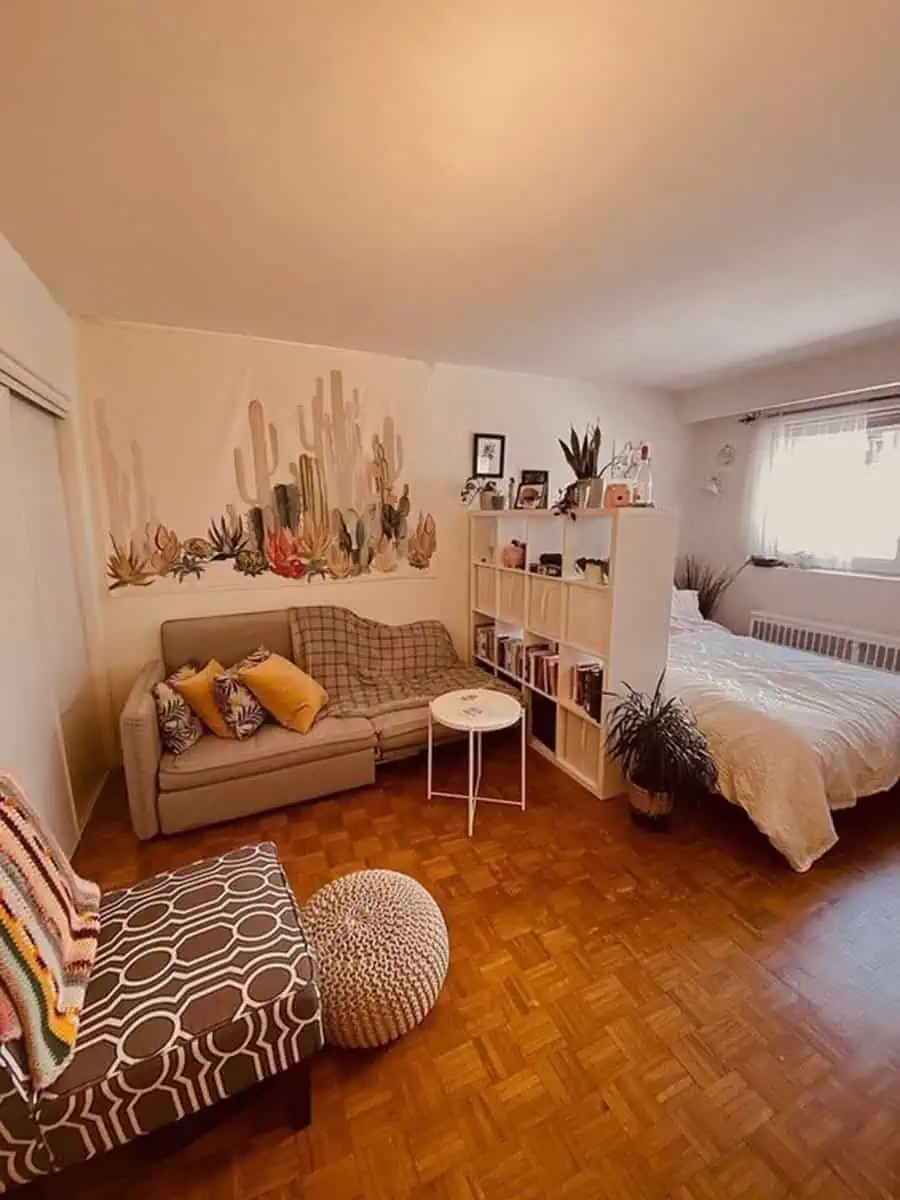 Warm studio with cactus mural, cozy seating, open bookshelf divider, and a bed by the window.