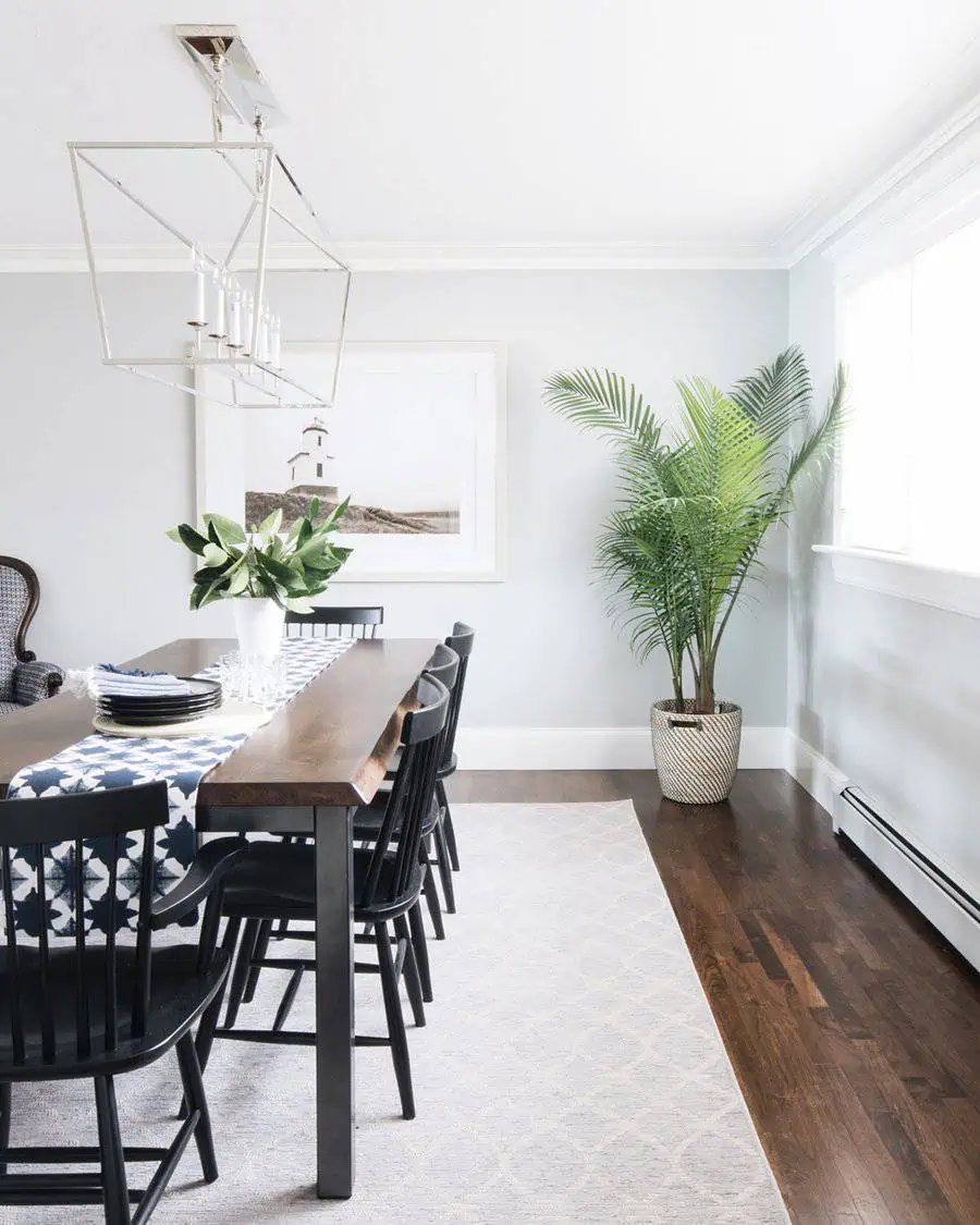 Bright dining room with a wooden table, black chairs, a palm plant, and coastal decor accents.