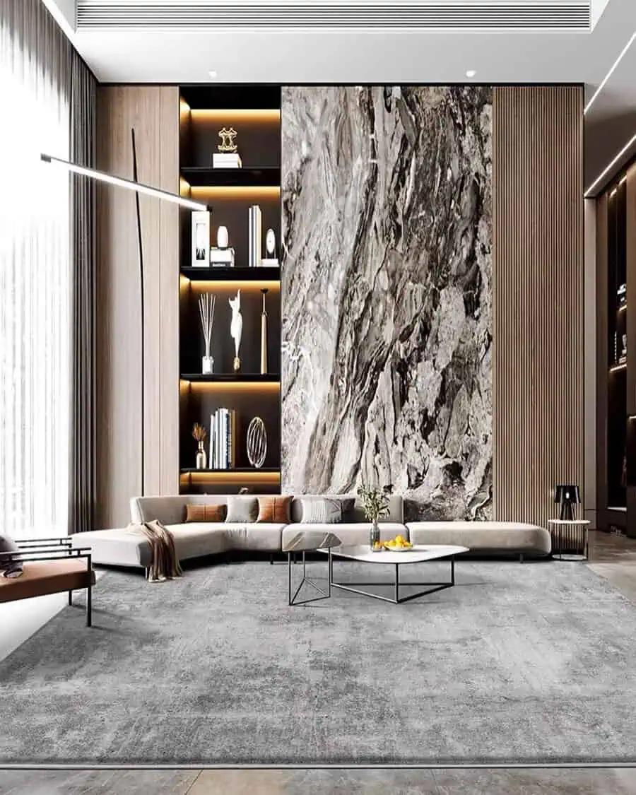 Luxury carpeted living room with a marble accent wall, built-in shelving, and a sleek sofa.