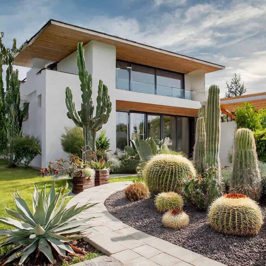 Modern white house with tall columnar cacti, barrel cacti, and succulents in a neat, desert-inspired front garden.
